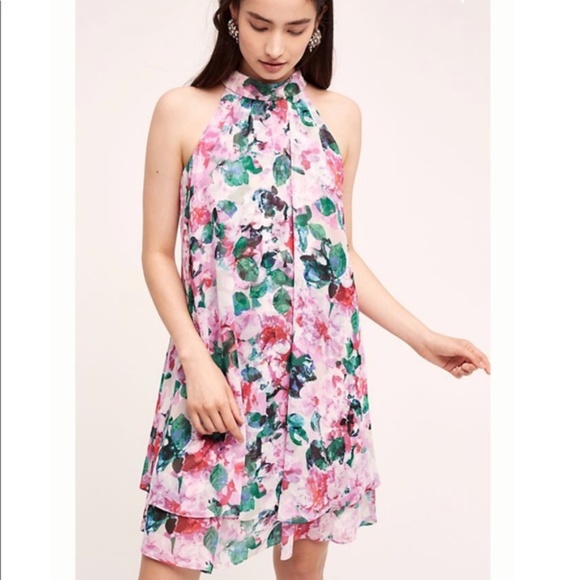 Eliza J Dresses & Skirts - Eliza J Floral Grandiflora Swing Dress